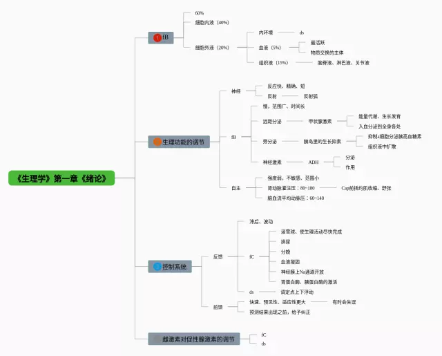 生理学第一章绪论思维导图-3