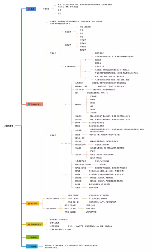 人体形态学思维导图-4