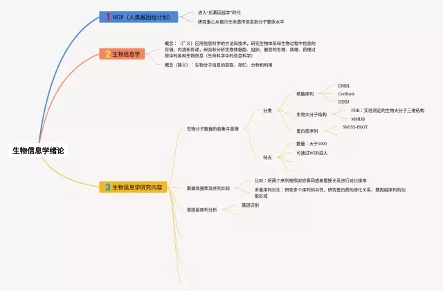信息学思维导图-4