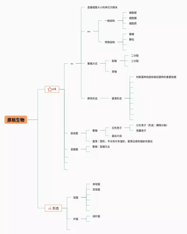 原核思维导图-2