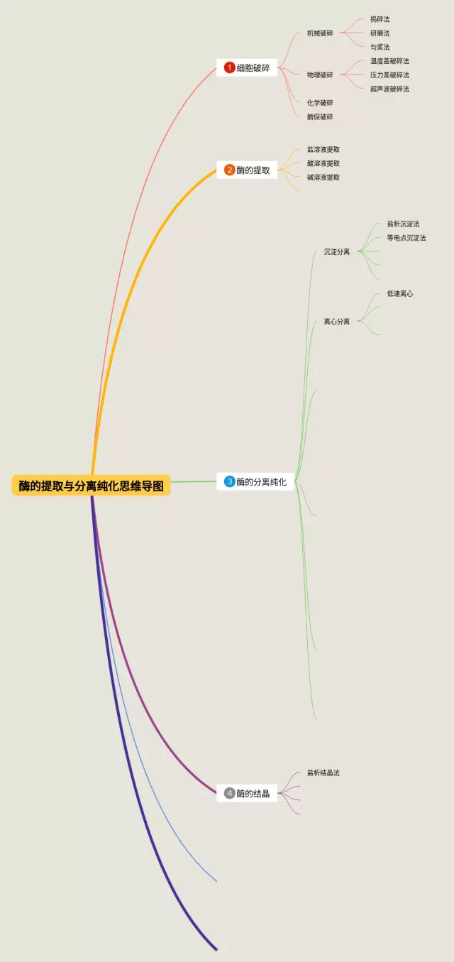 提取思维导图-1