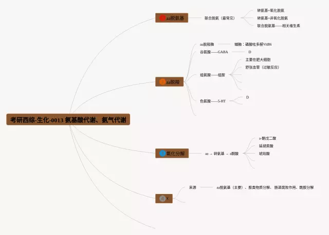 氨气思维导图-4