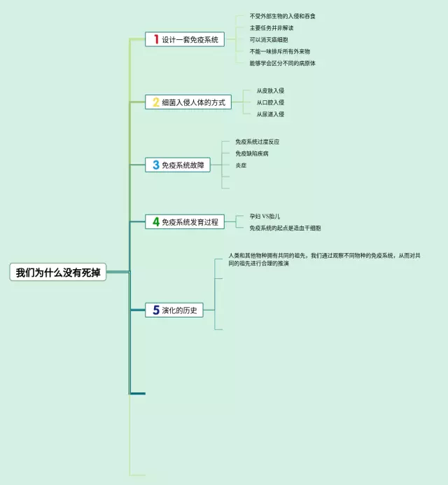 为什么我的wps没有思维导图-2
