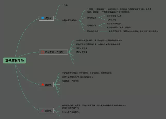 原核思维导图-4