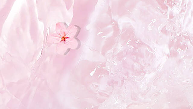 三位数乘两位数一等奖思维导图-3