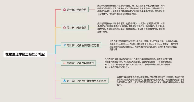 植物生理学第三章思维导图-4