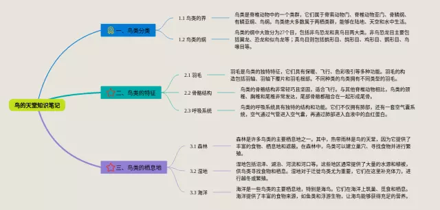 鸟的天堂的思维导图-1