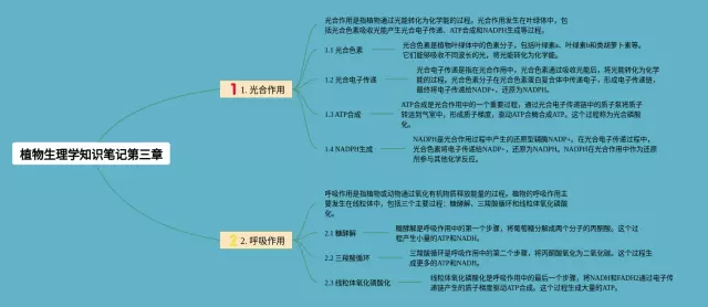 植物生理学第三章思维导图-2