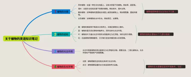 关于植物的思维导图-2