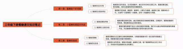 三年级下册蜜蜂思维导图-1