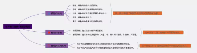 七年级下册第1章思维导图-1