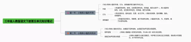人教版三年级下册第五单元思维导图-1