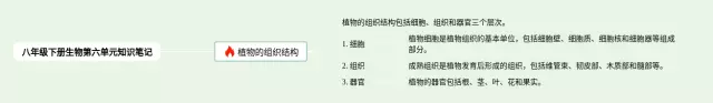 八年级下册第六单元思维导图-2