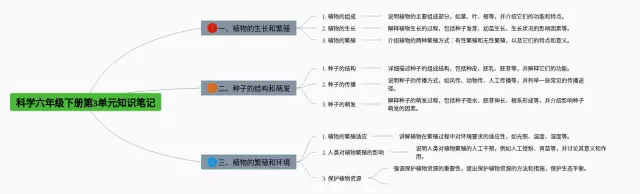 六年级下册第3单元科学思维导图-4
