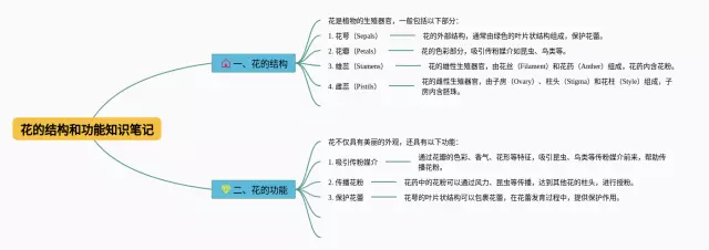 花的结构和功能思维导图-3