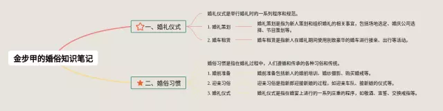 金步甲思维导图-1