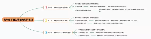 七年级下册植物思维导图-3