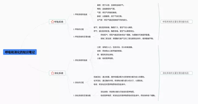 呼吸和消化的思维导图-1
