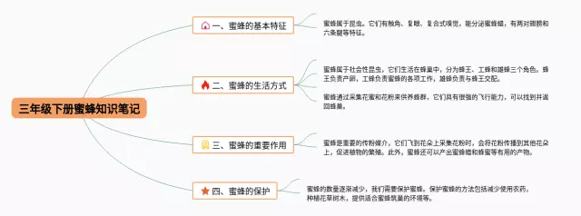 三年级下册蜜蜂思维导图-2