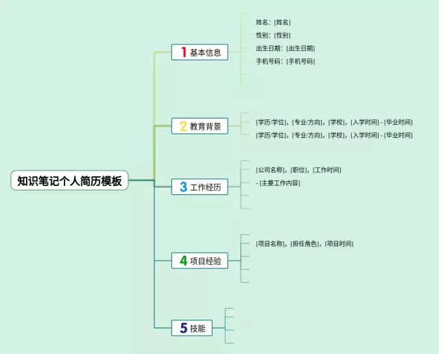 个人简历模板思维导图-4