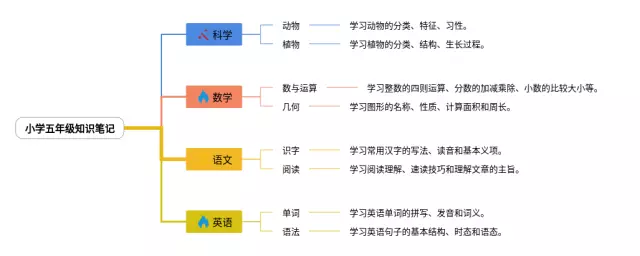 小学五年级模板思维导图-2