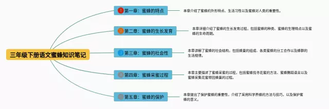三年级下册蜜蜂思维导图-3
