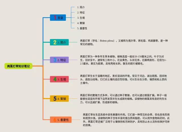 两茎灯草思维导图-4