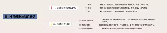 高中细胞核思维导图-3