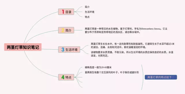 两茎灯草思维导图-1