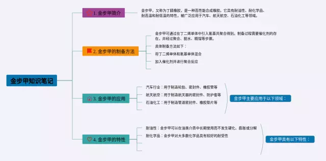 金步甲思维导图-4