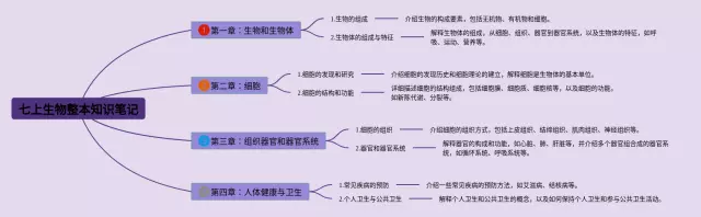 七上整本思维导图-1