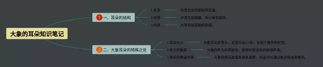大象的耳朵图片思维导图-3