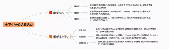 七下12思维导图-3
