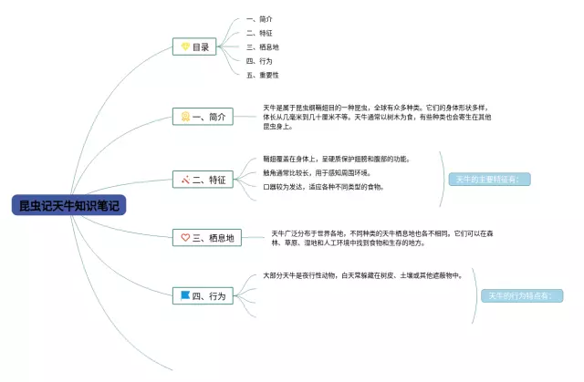 昆虫记天牛清晰思维导图-1