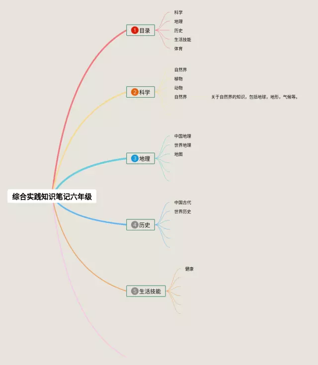 六年级综合实践思维导图-3