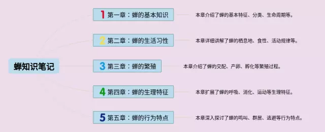 八上蝉思维导图-4