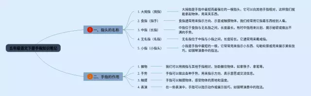 五年级下册手指的思维导图-2