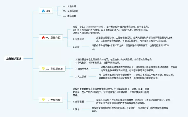 龙猫思维导图-2