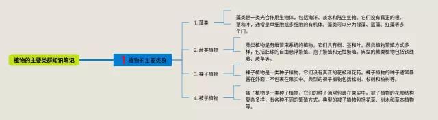 八下植物的主要类群思维导图-4