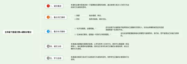 五年级下册第10课思维导图-2