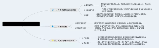 人体及动物生理学呼吸思维导图-3