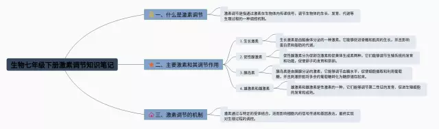 七年级下册激素调节思维导图-2