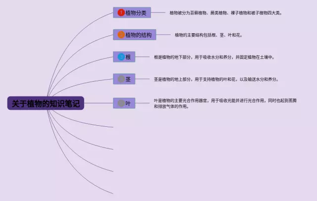 关于植物的思维导图-3