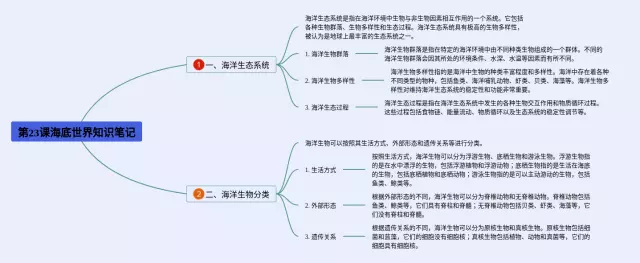 第23课海底世界思维导图-4