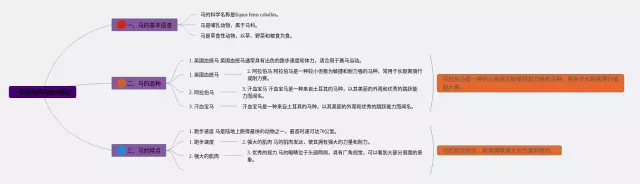 二年级下册一匹出色的马思维导图-4