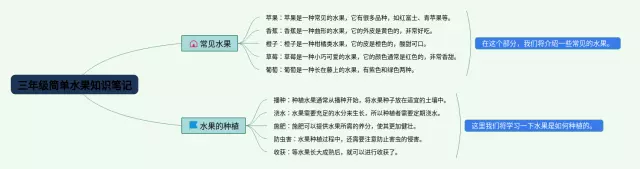 三年级简单水果思维导图-1