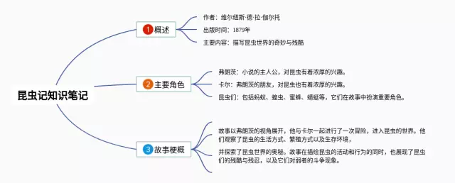 《昆虫记》清晰思维导图-4