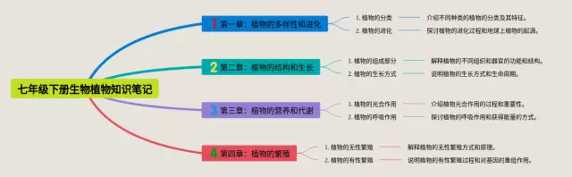 七年级下册植物思维导图-4
