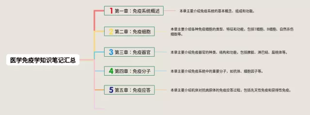 免疫学汇总 手绘思维导图-1