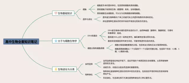 高中必修一高清 全套思维导图-3